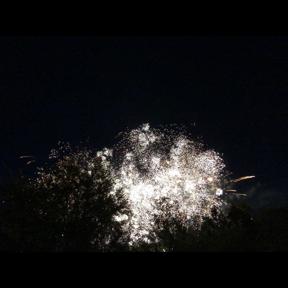 Meet your Posher, Madelyn